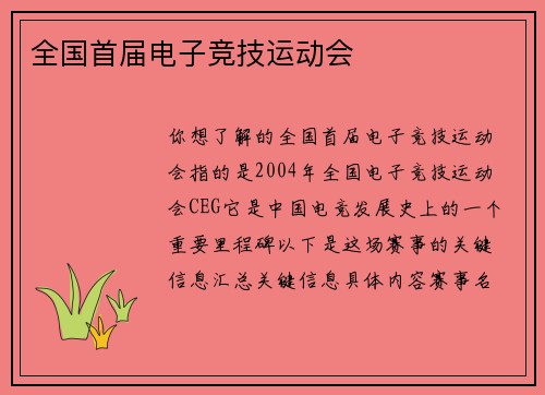 全国首届电子竞技运动会